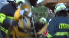 Kůň přežil hrůzný pád do jámy s močůvkou