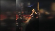 Horor v cirkusu: Cvičený vlk se utrhl a napadl diváka! VIDEO