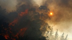 Na Dobříšsku vzplála lesní školka, hasiči ji budou hasit až do večera