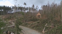 Opravy pokračují, zoo v Olomouci se vzpamatovává z bouře Eberhard
