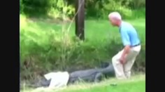 Drsné video: Vědce napadl obří krokodýl a málem ho sežral