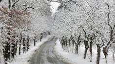 VÝSTRAHA ČHMÚ: Meteorologové varují před náledím