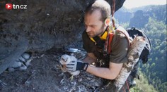 Strážci Národního parku hlídají hnízda vzácných sokolů