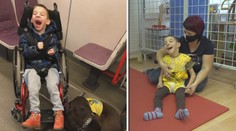 Lékaři Danečkovi nedávali naději. Dnes dělá neuvěřitelné pokroky