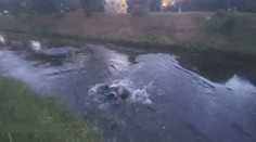 Hledaný muž skočil do řeky. Strážníkům přesto neuplaval
