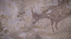 Archeologové v Indonésii zřejmě objevili nejstarší malbu světa
