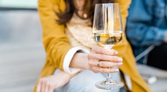 Festwine vyhrál Ryzlink z Mikrosvínu, cenu za kolekci si odnesl Vican