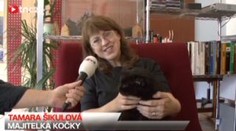 Kočičí stařenka oslaví 21. narozeniny