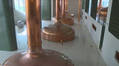 Po bludišti u Kozla se hodí Plzeň. Lidé z Plzeňského kraje lákají na výlety i pivo