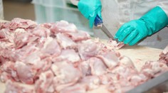 Kuřecí maso obsahovalo zakázané chemikálie. Můžete ho mít doma!