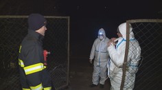 Boj s ptačí chřipkou! Na Moravě začalo vybíjení drůbeže!