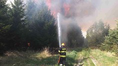 Dva obří požáry u Brna, hořel les i průmyslová budova