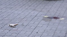 Při domluveném souboji o ženu napadl jeden sok druhého kladivem