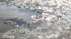 O víkendu můžeme na silné mrazy zapomenout, říká Honsová