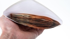 Nečekaný vánoční dárek. Banka omylem rozeslala klientům skoro 4 miliardy