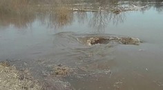 ZÁHADNÉ VIDEO: Uprostřed řeky se vytvořil obří vír! Pohlcuje všechno kolem sebe!