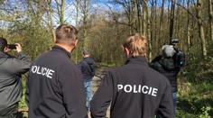 Vítr v Česku láme stromy. V Kladně spadl na dítě (7), těžce ho zranil
