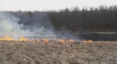 Požár louky na Plzeňsku zaměstnal osm jednotek hasičů