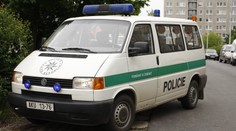 Pes se zabil pádem ze čtvrtého patra