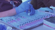V USA řádí nejvíce varianta delta. Naočkováno je už téměř 160 milionů lidí