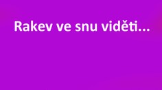 Kdo je Aafia, za kterou chtějí únosci vyměnit Hanku a Tonču?