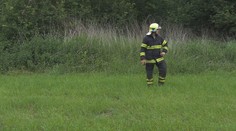 Matka nechala vyhlásit pátrání, věděla ale, že její dítě je mrtvé. Dostala pět let