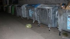 Nepochopitelný čin. Do popelnice někdo vyhodil igelitku s koťátky, obě zemřela