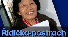 Řidička-postrach si chce koupit auto