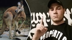 Nová zbraň džihádistů? V Austrálii chtěli využít k útoku klokana!