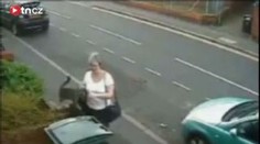 VIDEO: Hodila kočku do popelnice, Britové zuří
