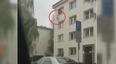 Pro rostlinu konopí vylezl muž do třetího patra po hromosvodu!