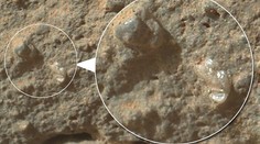 Rostou na Marsu květiny? NASA zachytila neuvěřitelné snímky
