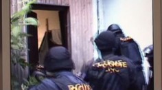 Policie zabavila marihuanu za miliony