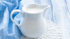 Evropa neví, co s přebytky mléka! VÝVOJ CEN POTRAVIN