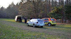 Lesní dělník našel ukryté auto s mrtvolou