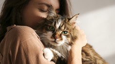 Kočka Daisy majitelce utekla před 11 lety. Teď se opět shledaly