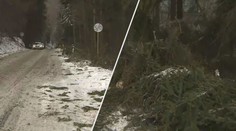 Hasiči kvůli počasí hlásili čtyřnásobný počet zásahů, vichr se má brzy vrátit!