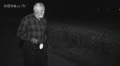 Zloději kradou česnek ve velkém. Pěstitelé už raději nespí a hlídají