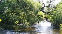 Bouřky rozvodnily Ohři. Řeka je naprosto nesjízdná, varují hasiči