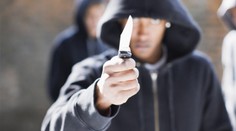 Rom v Chanově zranil policistu, údajně ho pobodal a vyhodil z okna