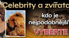 Celebrity a zvířata – kdo je nejpodobnější? VYBERTE