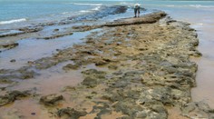 Přírodní katastrofa! Asi 130 pláží v Brazílii pokryla silná vrstva ropy