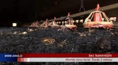 VIDEO: Uhořely tisíce kuřat, škoda 2 miliony korun