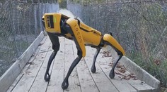 Technologická revoluce! Robot dokáže pást ovce