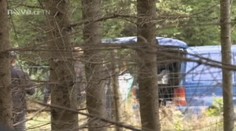 Houbař našel zastřeleného muže: Byla to poprava!
