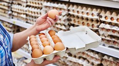 Vejce od českých slepic, ale z Polska: Někdo vytahuje starou kauzu, říká Lidl
