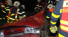 Snažil se ujet policistům. Zabil se nárazem do stromu