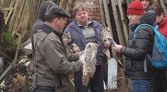 Chovatel měl zavinit smrt šesti zvířat. Od soudu odešel s podmínkou