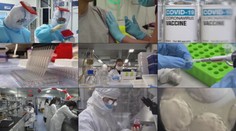 Nejen covid-19. Tohle lidé hledali na internetu letos nejčastěji. VIDEO