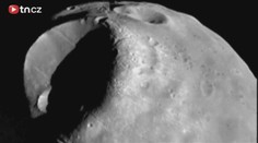 NASA chce poslat na Mars ježky
